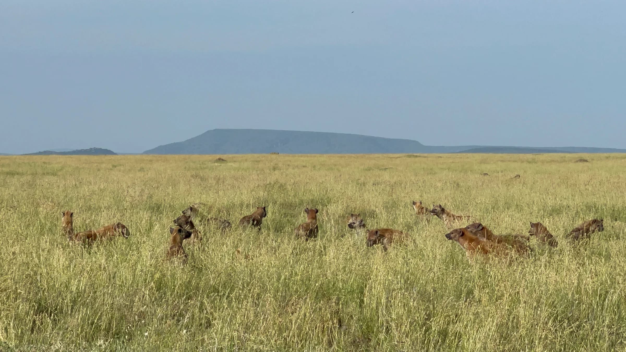 14-Day Grand Tanzania Circuit