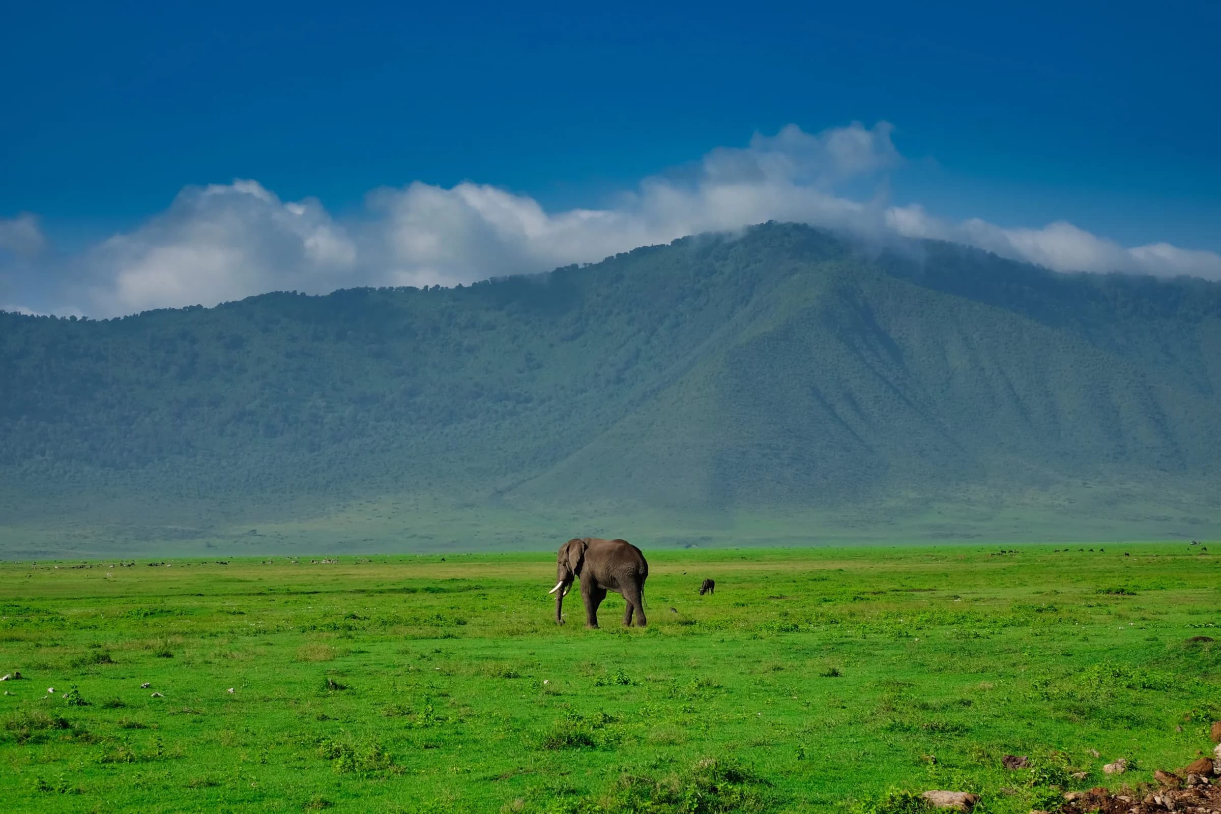 4-Day Tarangire & Ngorongoro Safari