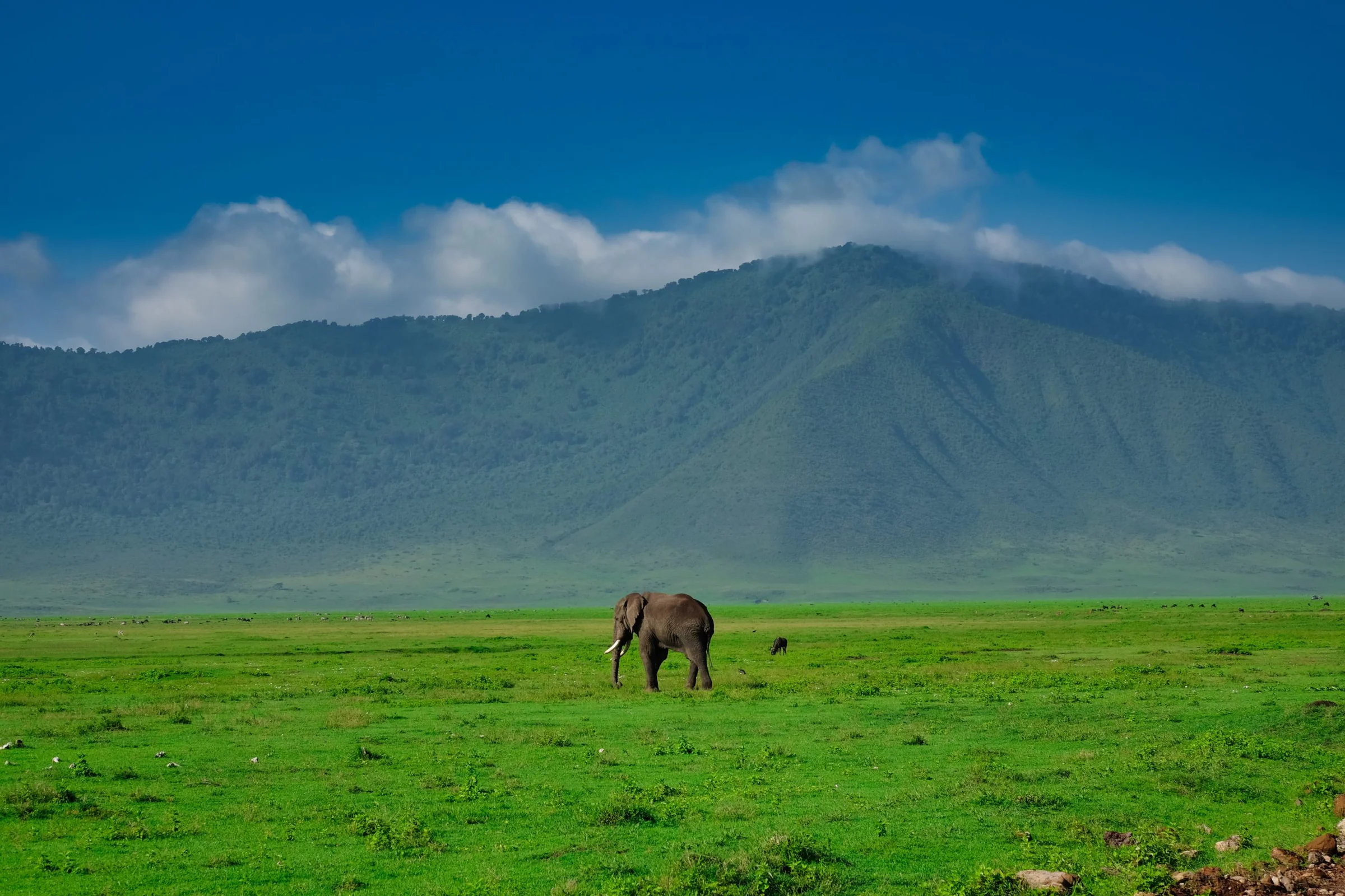4-Day Tarangire & Ngorongoro Safari